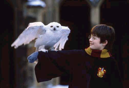 Harry Potter and The Sorcerer’s Stone - изображение 9 Harry Potter and The Sorcerer’s Stone - фото 9