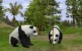 Wildlife Park 2