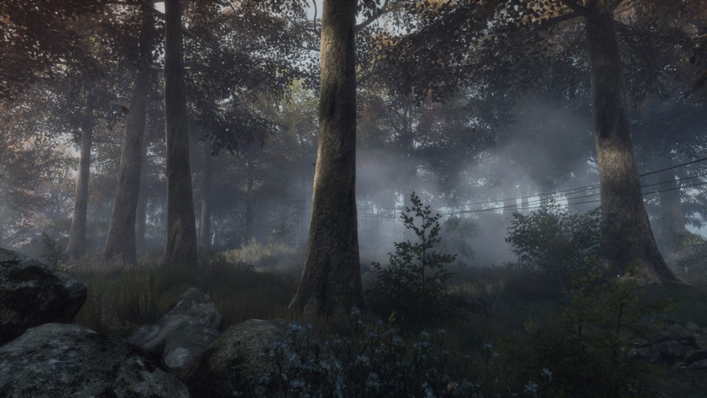Пейзаж года: The Vanishing of Ethan Carter, Destiny - изображение 5 Пейзаж года: The Vanishing of Ethan Carter, Destiny - фото 5