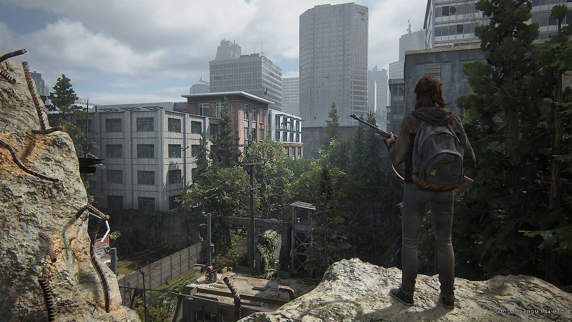 8 вещей, которые мы не смогли сказать в обзоре The Last of Us Part II - фото 9