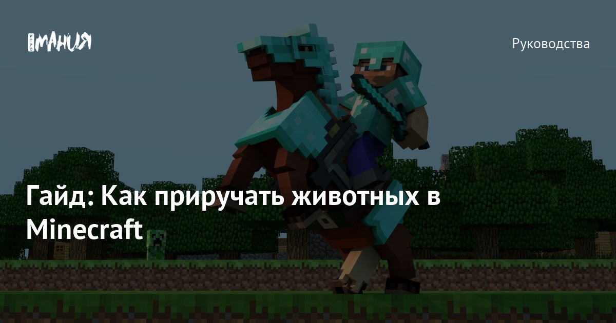 «Как играть с другом в Minecraft PE по сети на расстоянии?» — Яндекс Кью