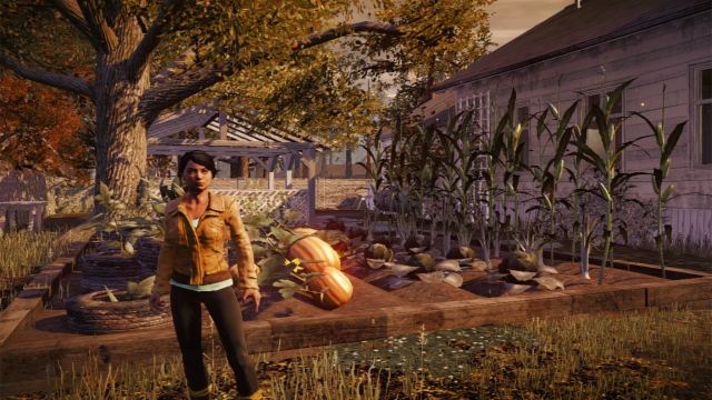 State of Decay - фото 2