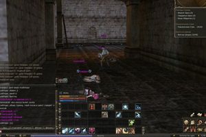 Lineage 2 Classic. Девять советов для туриста - фото 6