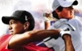 Tiger Woods PGA Tour 11 - изображение обложка