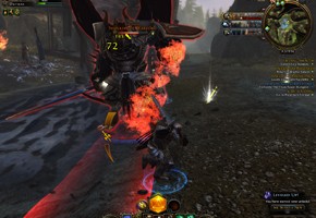 Neverwinter - фото 8