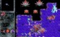 Суперстар. StarCraft 10 лет - изображение обложка