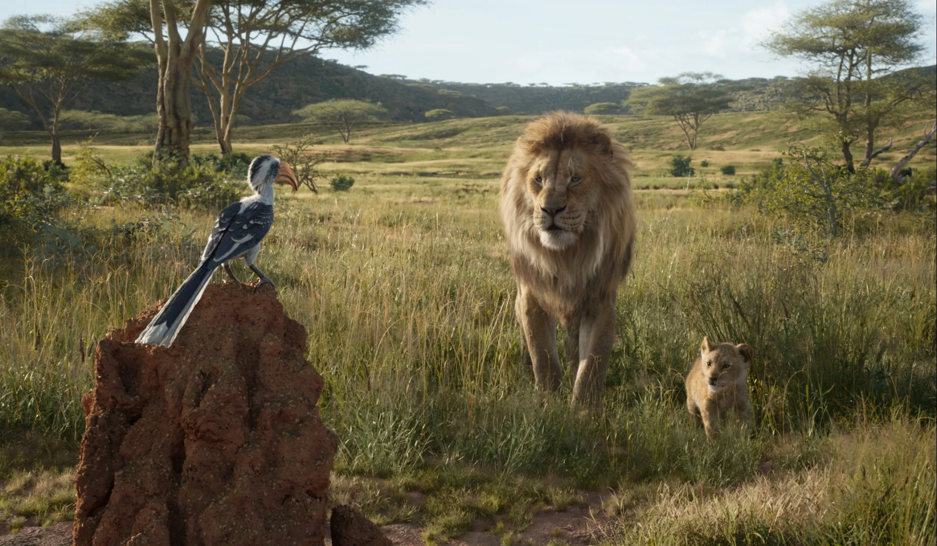 Обзор фильма «Король Лев». Плюшевый Симба - фото 1