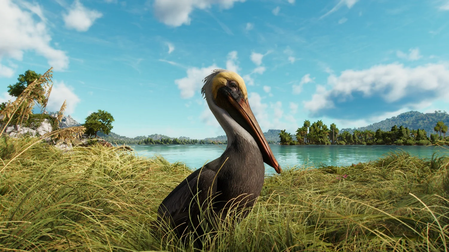 Гайд: Как покормить пеликанов в Far Cry 6 - изображение обложка