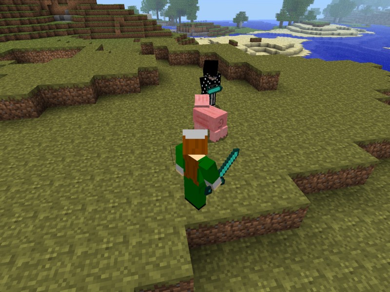 Minecraft. Человеку нужен человек - изображение 9 Minecraft. Человеку нужен человек - фото 9