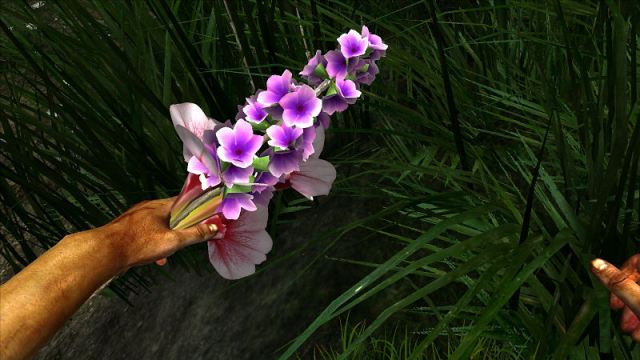 Miasmata - фото 1