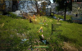 Black Desert Online: впечатления от первого этапа ЗБТ - изображение 7 Black Desert Online: впечатления от первого этапа ЗБТ - фото 7