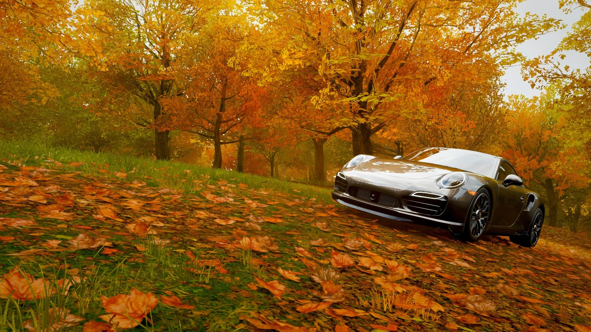7 способов отлично провести время в Forza Horizon 4 - изображение обложка