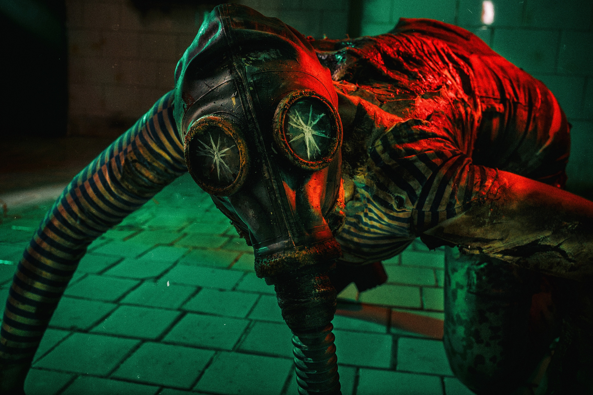 Косплей недели: S.T.A.L.K.E.R., Dota 2, Overwatch, «Как приручить дракона», The Witcher - изображение 27 Косплей недели: S.T.A.L.K.E.R., Dota 2, Overwatch, «Как приручить дракона», The Witcher - фото 27