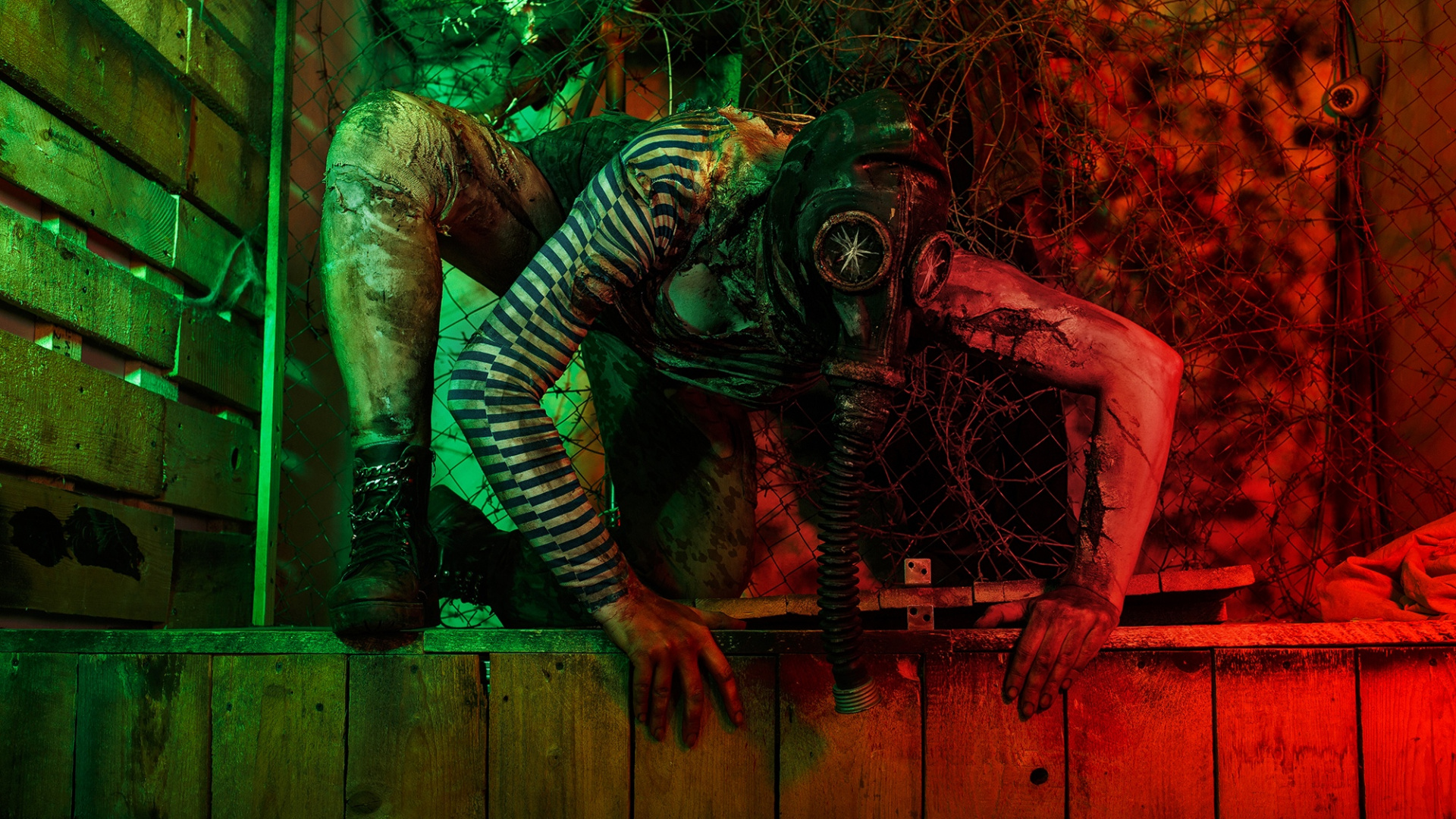 Косплей недели: S.T.A.L.K.E.R., Dota 2, Overwatch, «Как приручить дракона», The Witcher - изображение 28 Косплей недели: S.T.A.L.K.E.R., Dota 2, Overwatch, «Как приручить дракона», The Witcher - фото 28