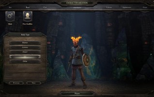 Pillars of Eternity - изображение 3 Pillars of Eternity - фото 3