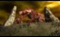 Warhammer: Mark of Chaos - изображение обложка