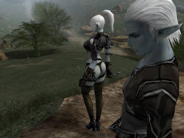 Играем: Lineage 2: The Chaotic Chronicle - изображение 2 Играем: Lineage 2: The Chaotic Chronicle - фото 2