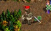 Might & Magic Heroes 6: Pirates of the Savage Sea - изображение 4 Might & Magic Heroes 6: Pirates of the Savage Sea - фото 4
