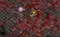 Zombie Shooter - изображение обложка