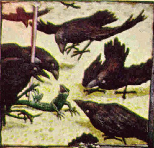 Интересное в Сети - фото 10