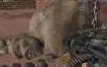 Руководство и прохождение по "Will Rock" - изображение обложка