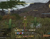 Final Fantasy XIV: A Realm Reborn - изображение 13 Final Fantasy XIV: A Realm Reborn - фото 13