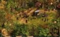 Robin Hood: The Legend of Sherwood