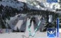 RTL Ski Jumping 2007