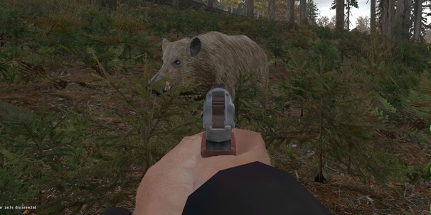 DayZ - изображение 14 DayZ - фото 14