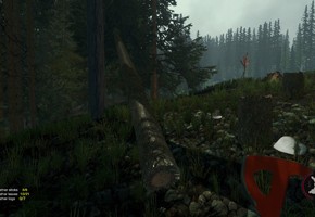 The Forest: уроки выживания - изображение 7 The Forest: уроки выживания - фото 7