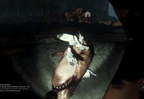 The Forest: уроки выживания - изображение 21 The Forest: уроки выживания - фото 21