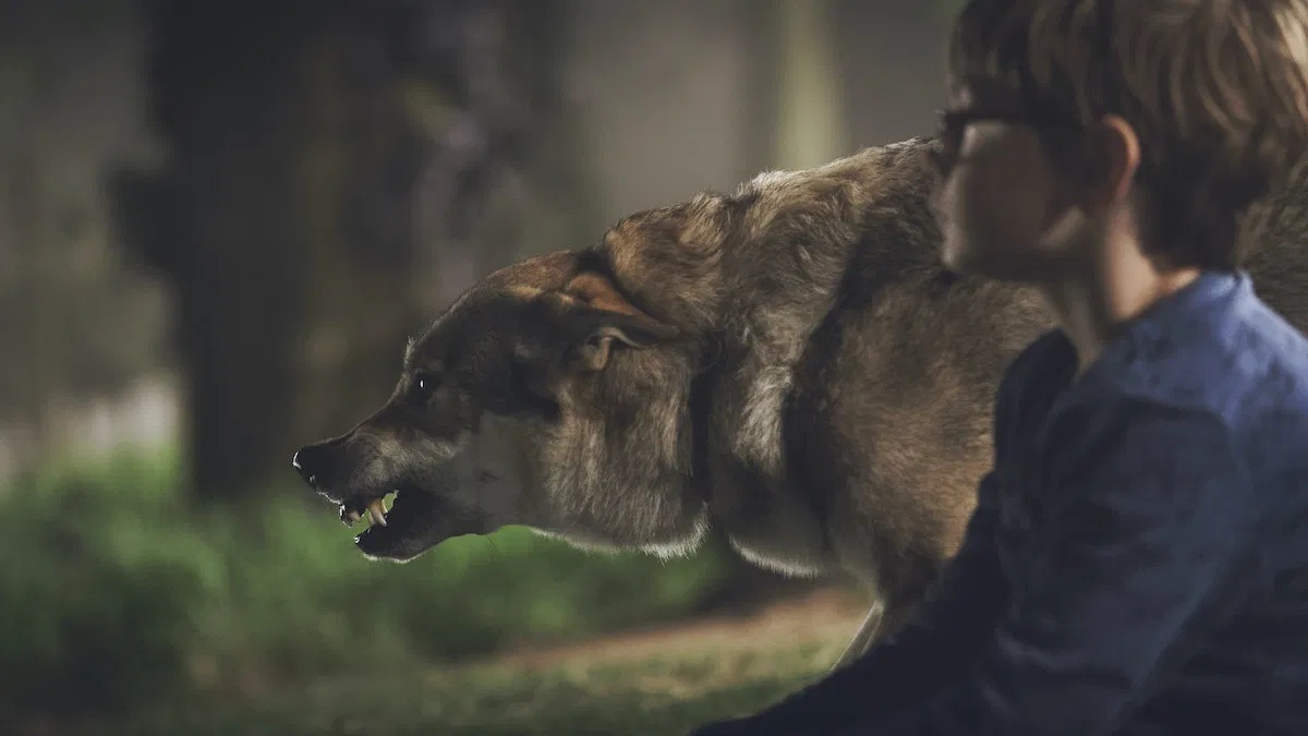 Обзор фильма «Цвет из иных миров». Кейдж, Лавкрафт и альпаки - фото 3
