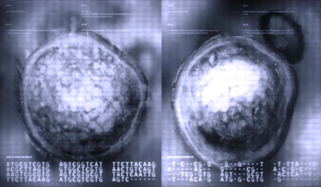 Эбола, да не та: самые страшные болезни в играх. Часть 1 - фото 13