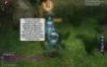 Играем. EverQuest 2 (русская версия) - изображение обложка