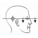 Горячая линия: игры - фото 22