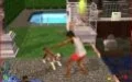 The Sims 2: Pets - изображение обложка