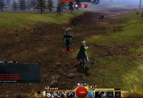Первые впечатления от Guild Wars 2 - фото 18