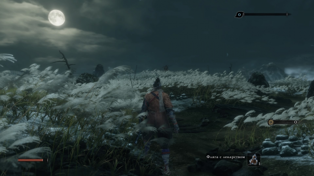 Обзор Sekiro: Shadows Die Twice. Величайший синоби - изображение 4 Обзор Sekiro: Shadows Die Twice. Величайший синоби - фото 4