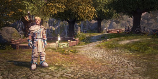 Fable Anniversary - изображение 10 Fable Anniversary - фото 10