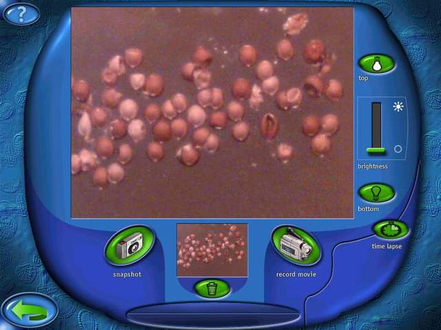 Intel QX3 Computer Microscope - изображение 1 Intel QX3 Computer Microscope - фото 1