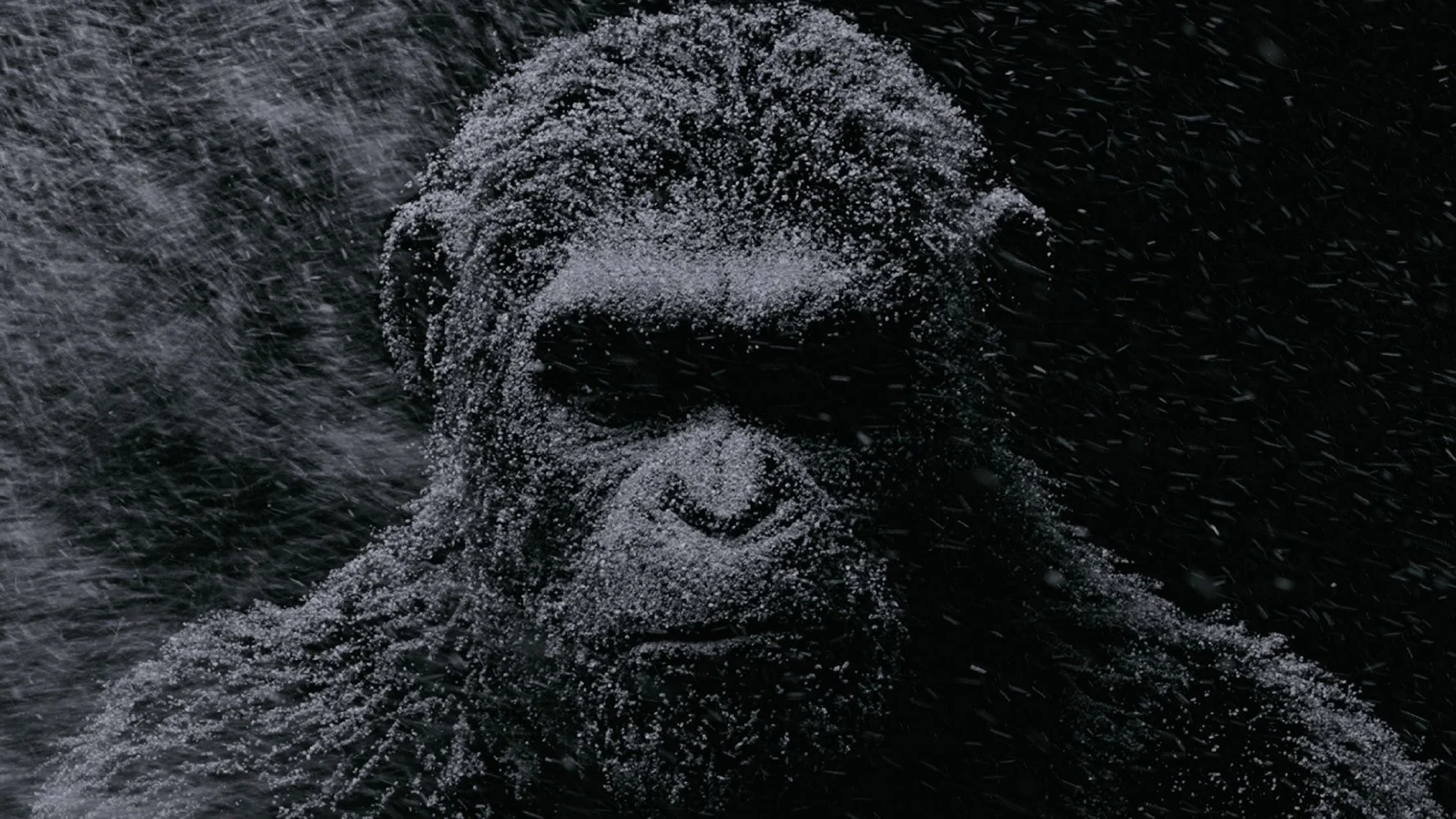 Обзор фильма «Планета обезьян: Война». Основной первобытный инстинкт - изображение обложка