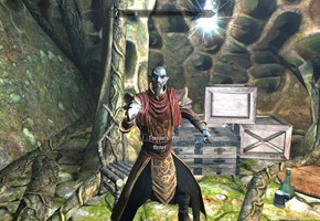 The Elder Scrolls V: Dragonborn - фото 9