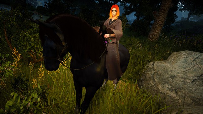 Как работают премиумные сервера Black Desert - изображение 2 Как работают премиумные сервера Black Desert - фото 2