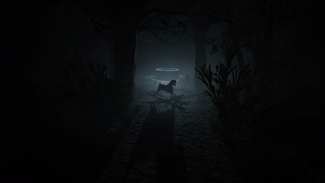 Сам себе режиссер. Впечатления от демоверсии Outlast 2 - фото 6