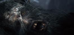 Bloodborne - изображение 8 Bloodborne - фото 8