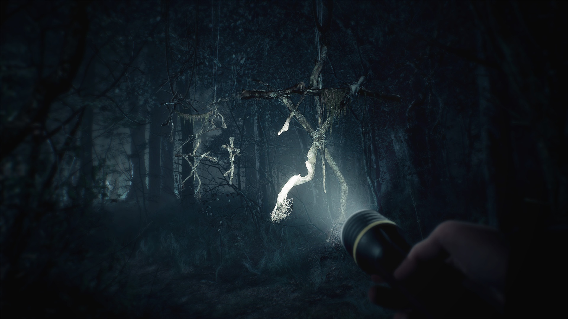 Е3 2019: Превью Blair Witch - изображение 1 Е3 2019: Превью Blair Witch - фото 1