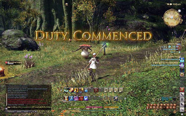 Final Fantasy XIV: A Realm Reborn - изображение 2 Final Fantasy XIV: A Realm Reborn - фото 2