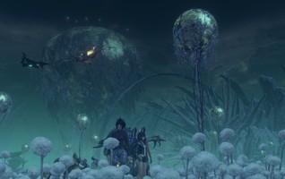 Тайна третьей планеты. Обзор Xenoblade Chronicles X - изображение 31 Тайна третьей планеты. Обзор Xenoblade Chronicles X - фото 31