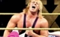 WWE '13 - изображение обложка