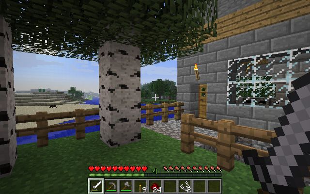 Minecraft - фото 7